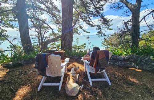 Onetangi House | Viewpoint - Stay Waiheke