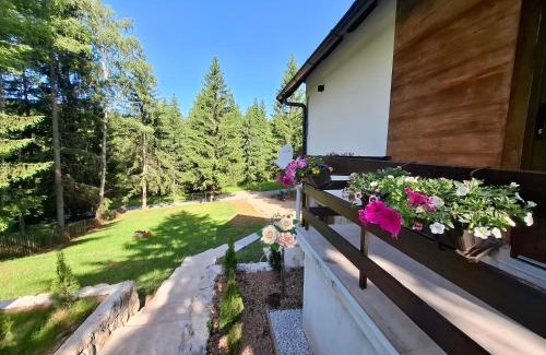 East Sarajevo House | Vikendica Sedam Patuljaka
