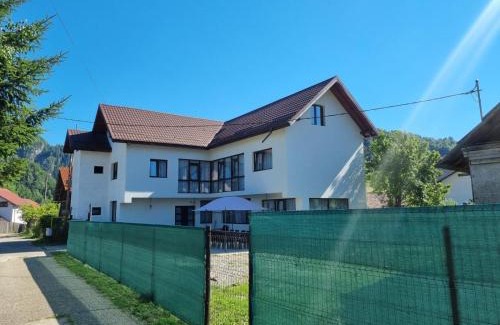 Dambovicioara Villa | Vila Avram