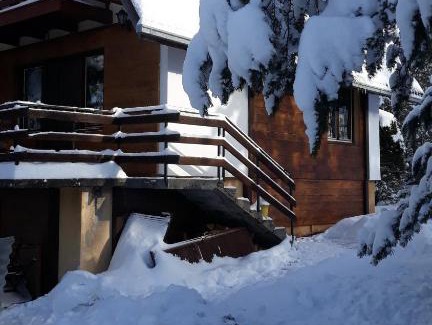 Zlatibor Villa | vila Borova glava