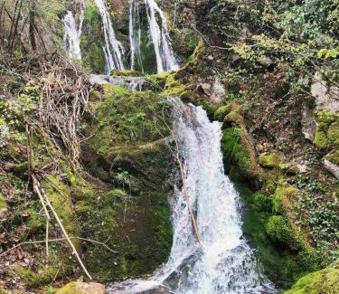 Stara Planina Villa | Vila Budimir