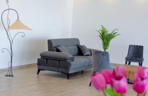 Stari Banovci Villa | Vila Julija