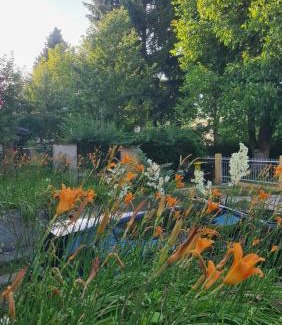 Ilidza Apartment | Vila Marija