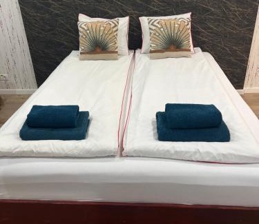 Jiblea Veche House | Vila Phoenix