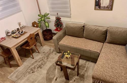 Prijepolje Apartment | Vila Vasilisa