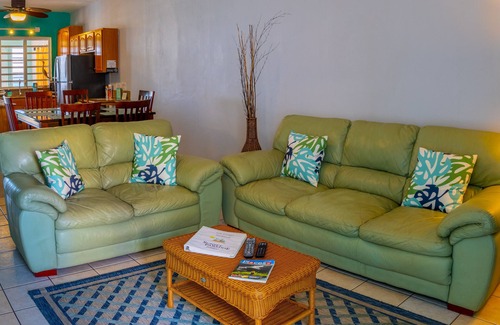 Stella Villa | Villa Ada - Oceanfront - 6 guests - pet friendly - at Stella, Rincón