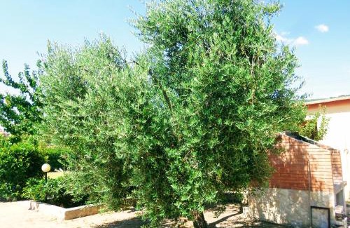 Chiesiola Apartment | Villa Apulia