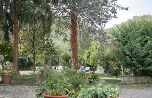 Rassina Apartment | Villa Contea - Holiday House Rental in Casentino Valley, Tuscany