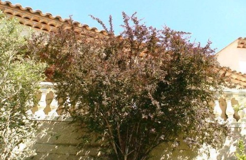 Cabasse Villa | villa Cornelius in Cabasse