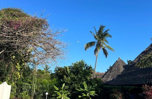 Galu Beach Villa | Villa Dream