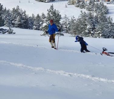 Zlatibor Villa | Villa Ducic