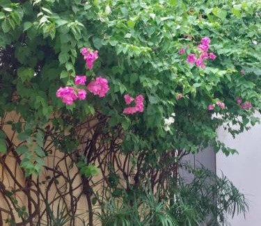 Ngor Bed & Breakfast | Villa Kells