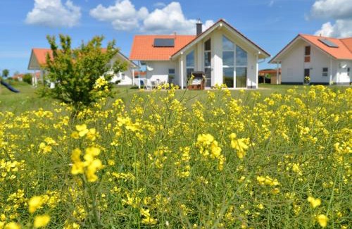 Trent Apartment | Villa Kranich