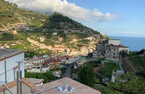 Minori Bed & Breakfast | Villa La Zagara