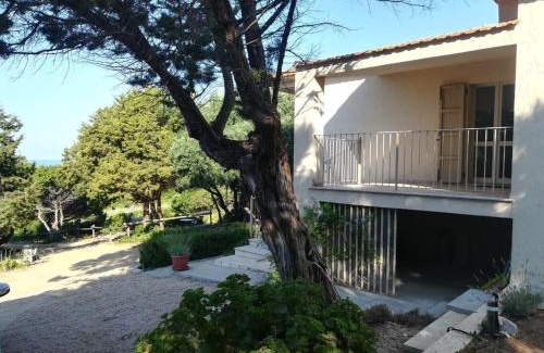 Badesi Villa | Villa Li Mindi