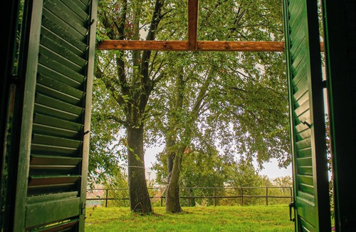 San Cipriano Picentino Villa | Villa Luna surrounded by greenery with swimming pool
