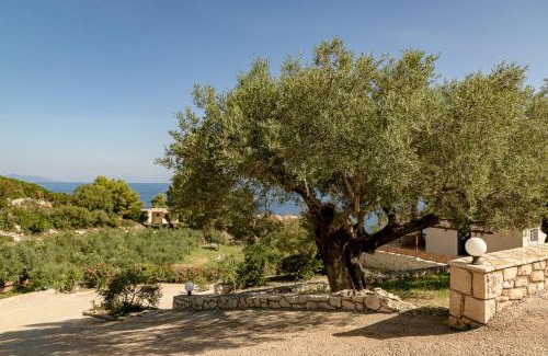 Skinaria Apartment | Villa Mare Studios