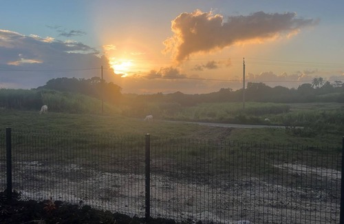 Grand-Bourg Villa | Villa neuve 3 pièces avec bar et climatisation À seulement 5 minutes de la plage