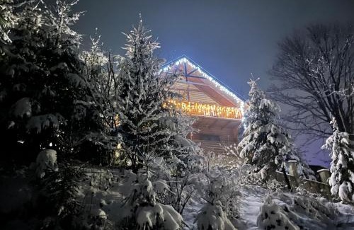Mykulychyn Cabin | Villa PidStromom
