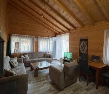Gllamnik Apartment | Villa Renata