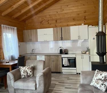 Gllamnik Apartment | Villa Renata