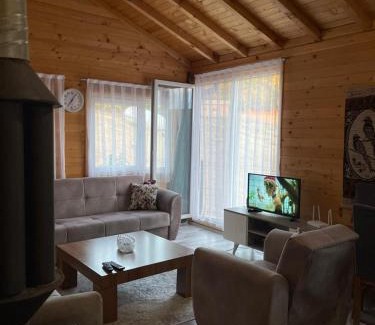 Gllamnik Apartment | Villa Renata