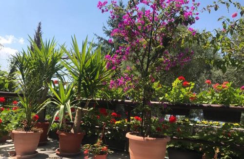 Ohrid House | Villa Sandra Lagadin