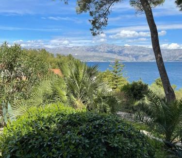 Postira Apartment | Villa SARA