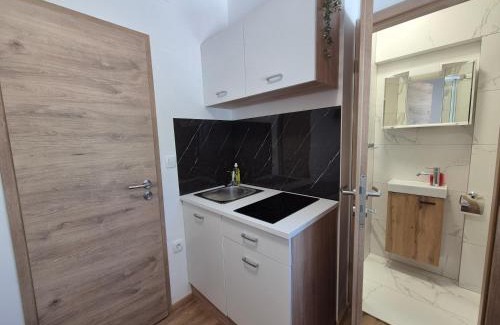 Bezigrad District Apartment | Villa Vojkova