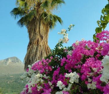 Karavostasi Villa | Villa Voukamvilia 3 minutes walk from Beach