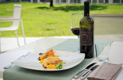 Isola Albarella Villa | Villa with air conditioning and garden