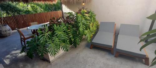 Soliman Bay Villa | Villa Xuncari in the heart of the jungle Tulum