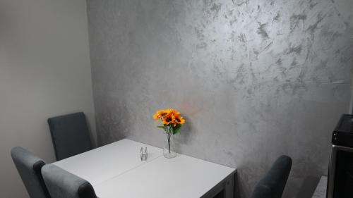 Kopaonik Apartment | Villa Zagorka and mountain houses A, M, D