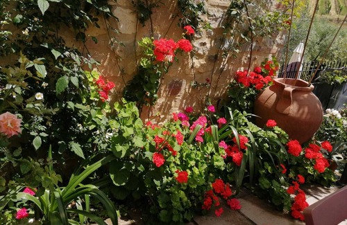 Castelnuovo Berardenga House | VillaNova House