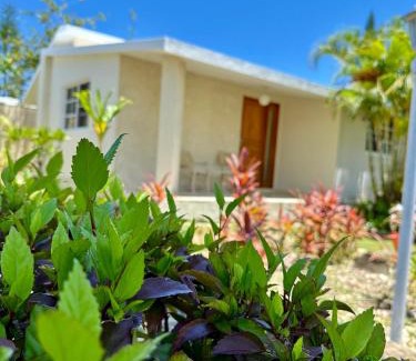 Costambar Villa | Villas Jazmin