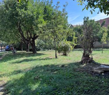 Vojvodina Other | Vinarija Ljutica Winery Ljutica