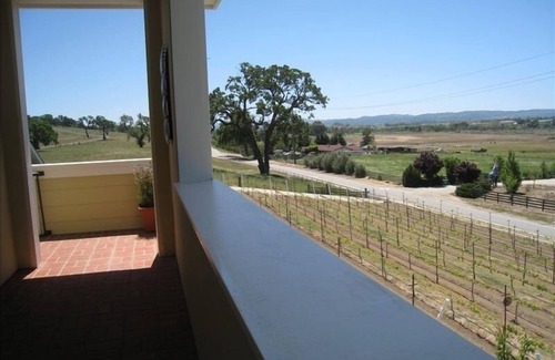 Paso Robles Apartment | Vineyard Guest House, Fabulous Views and Covered Parking