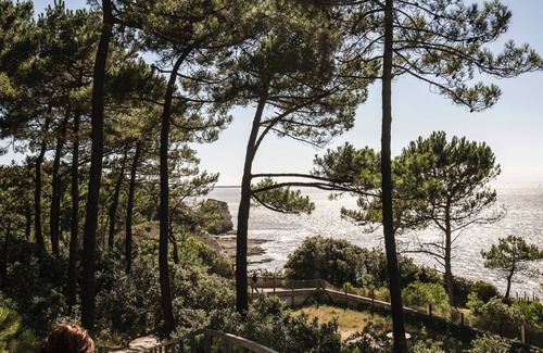 Saint-Fort-sur-Gironde House | Vintage Guesthouse: 85m2 on for 4 people.