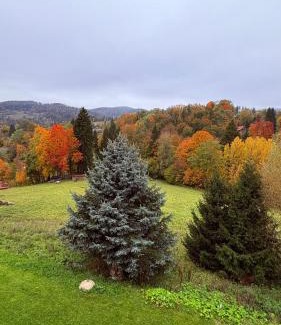Rokytnice nad Jizerou Apartment | Vista 14