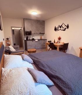 Rokytnice nad Jizerou Apartment | Vista 14
