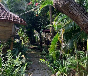 Hu'u House | Vivian's Lakey peak homestay