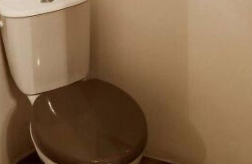 Orange Cottage | Vrbo Property