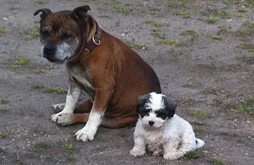 Walcha House | Walcha Royal Cafe & Accommodation