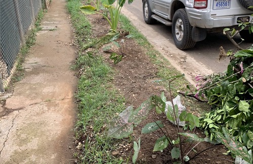 La Chorrera Condo | Walk to beach and many shops in Playas del Coco , Costa Rica