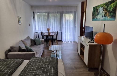 Sasbachwalden Apartment | Wasserfälle Apartments