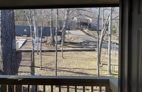 Lost Bridge Village Cabin | Water's Edge - literally ON Beaver Lake!