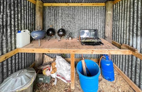 Ashford House | Water Vole - Uk49931