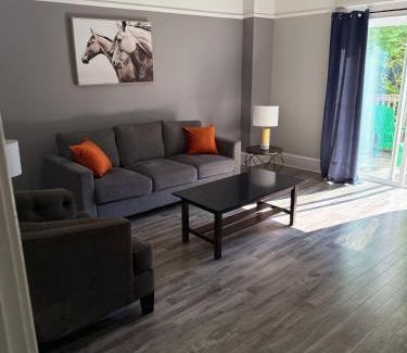 Waterford Valley Apartment | Waterfordbridge Apartments - 1 Bedroom Lower