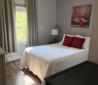 Waterford Valley Apartment | Waterfordbridge Apartments - 1 Bedroom Lower