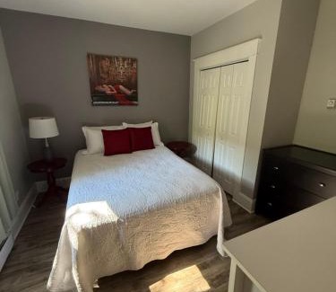 Waterford Valley Apartment | Waterfordbridge Apartments - 1 Bedroom Lower
